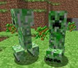 /album/fotogaleria-como-sobrevivir/creeper-jpeg/